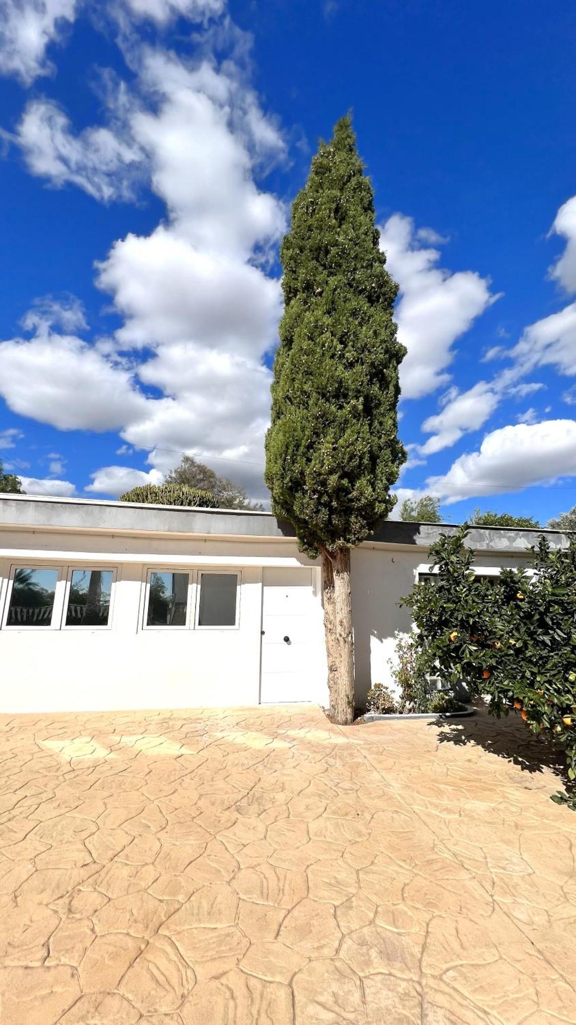 Kiwidestiny Alicante San Juan  Zewnętrze zdjęcie